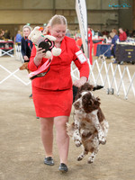 The Gundog Society