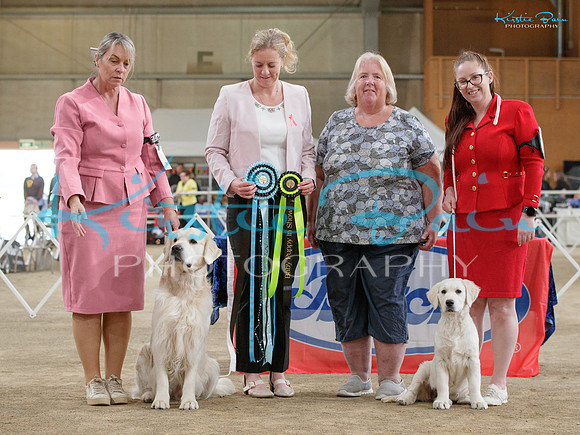 KB017074