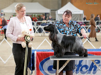 KB017079
