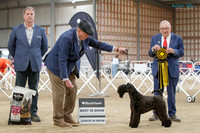 Best in Show