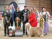 Best in Show