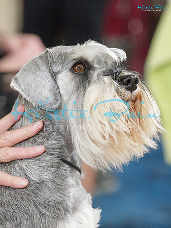 KBS17247