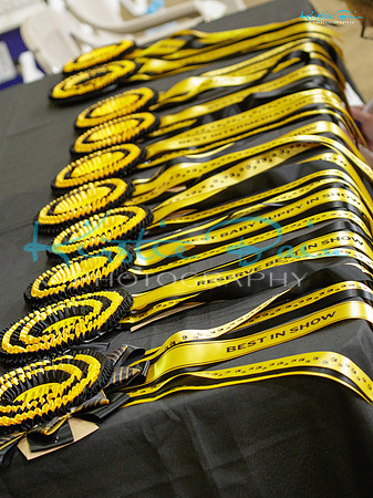 KBS17779