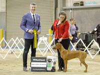 KBS17837