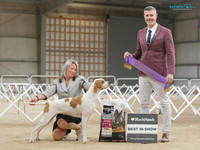 Best in Show
