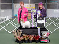 Best in Show