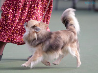 KB010446