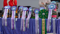 KB010443