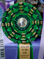 Auckland Toy Dog Club
