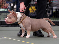 KB011467