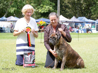 KBP26545