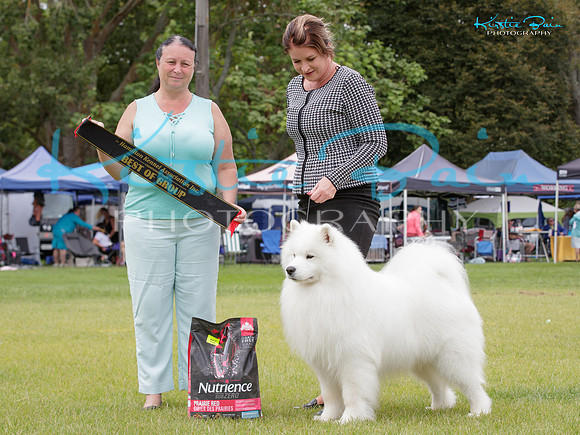 KBP27439