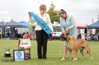 Best in Show