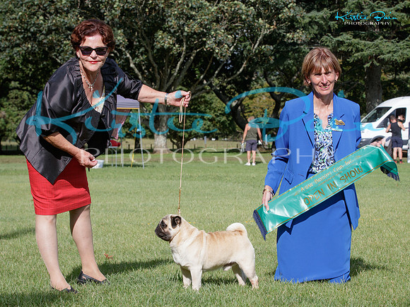 KBP28187