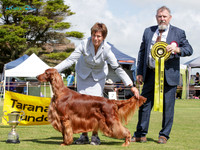 Taranaki Gundog Club