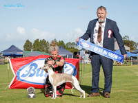 Best in Show