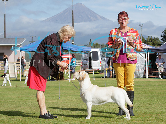 KBP29309