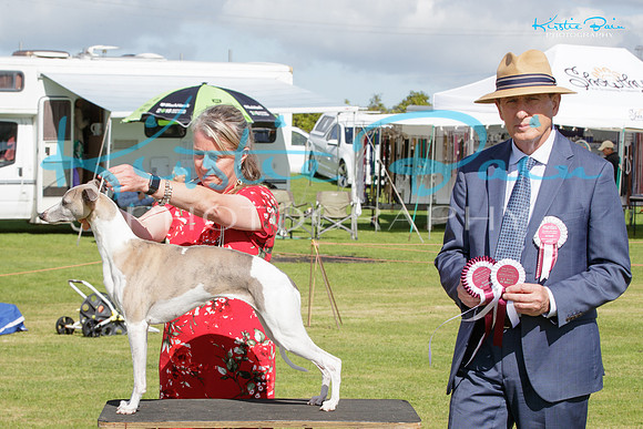 KBP29363