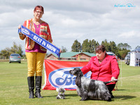 Best in Show