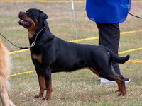 KB012825