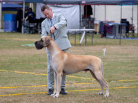 KB013124