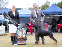 Best in Show