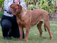 KB013734