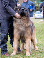KB014011