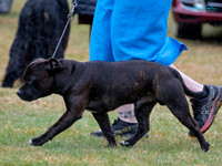 KB014106
