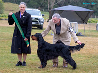 Best in Show