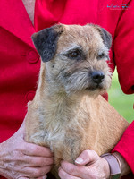 KB014746