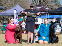 Waikato Gundog Club
