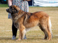 KB015598