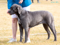 KB015593