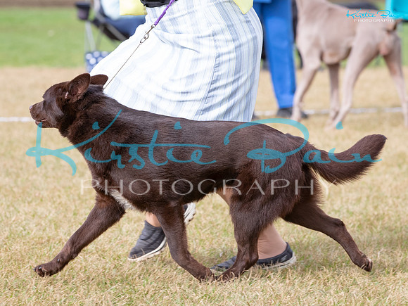KB016259