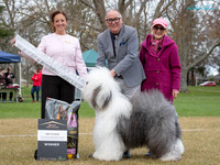 Best in Show