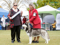 KBP20130