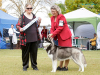 KBP20128
