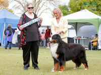 KBP20123