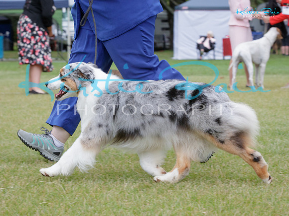 KBP20391