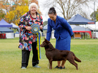 Best in Show