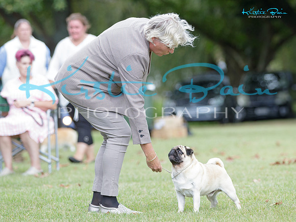 KBP21100