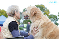 Cambridge Kennel Association