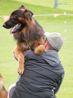 Wellington GSD Club