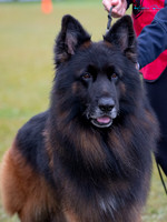 Long Stock Coat