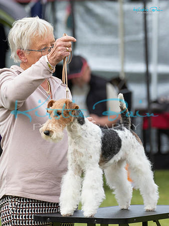 KBS10240