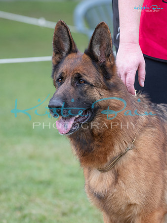 KB017345