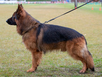KB016555
