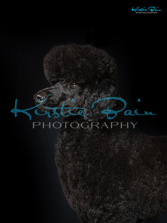 KB019267