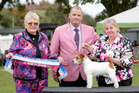 Best in Show